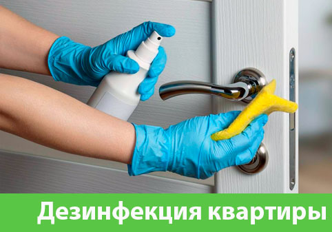Дезинфекция квартиры в городе Новоуральск