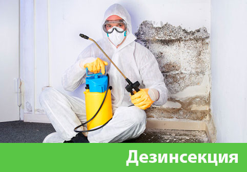 Дезинсекция в городе Новоуральск
