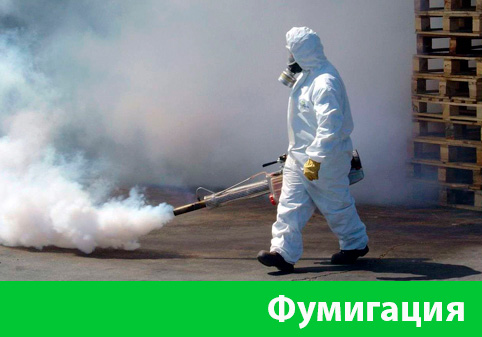 Фумигация в городе Новоуральск