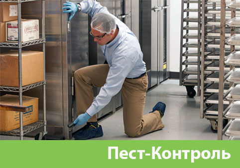 Пэст-Контроль в городе Новоуральск
