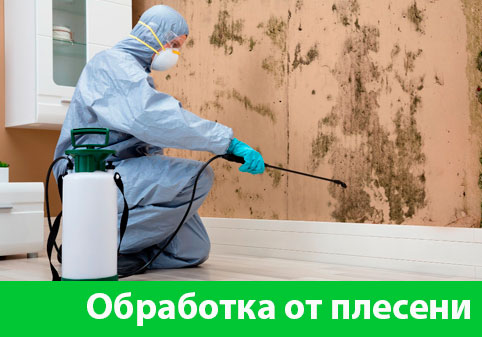 Обработка от плесени в городе Новоуральск