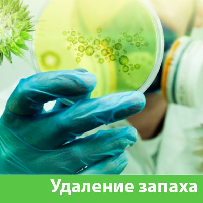 Удаление запахов в Новоуральске