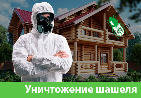 Уничтожение шашеля и личинок в Новоуральске