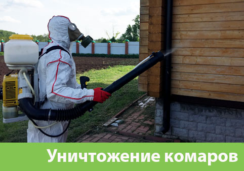 Уничтожение комаров в городе Новоуральск